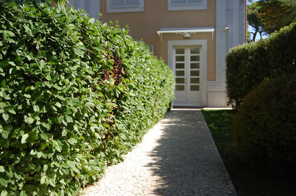 Foto - Ceccarini Suite