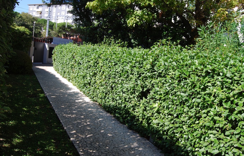 Foto - Ceccarini Suite