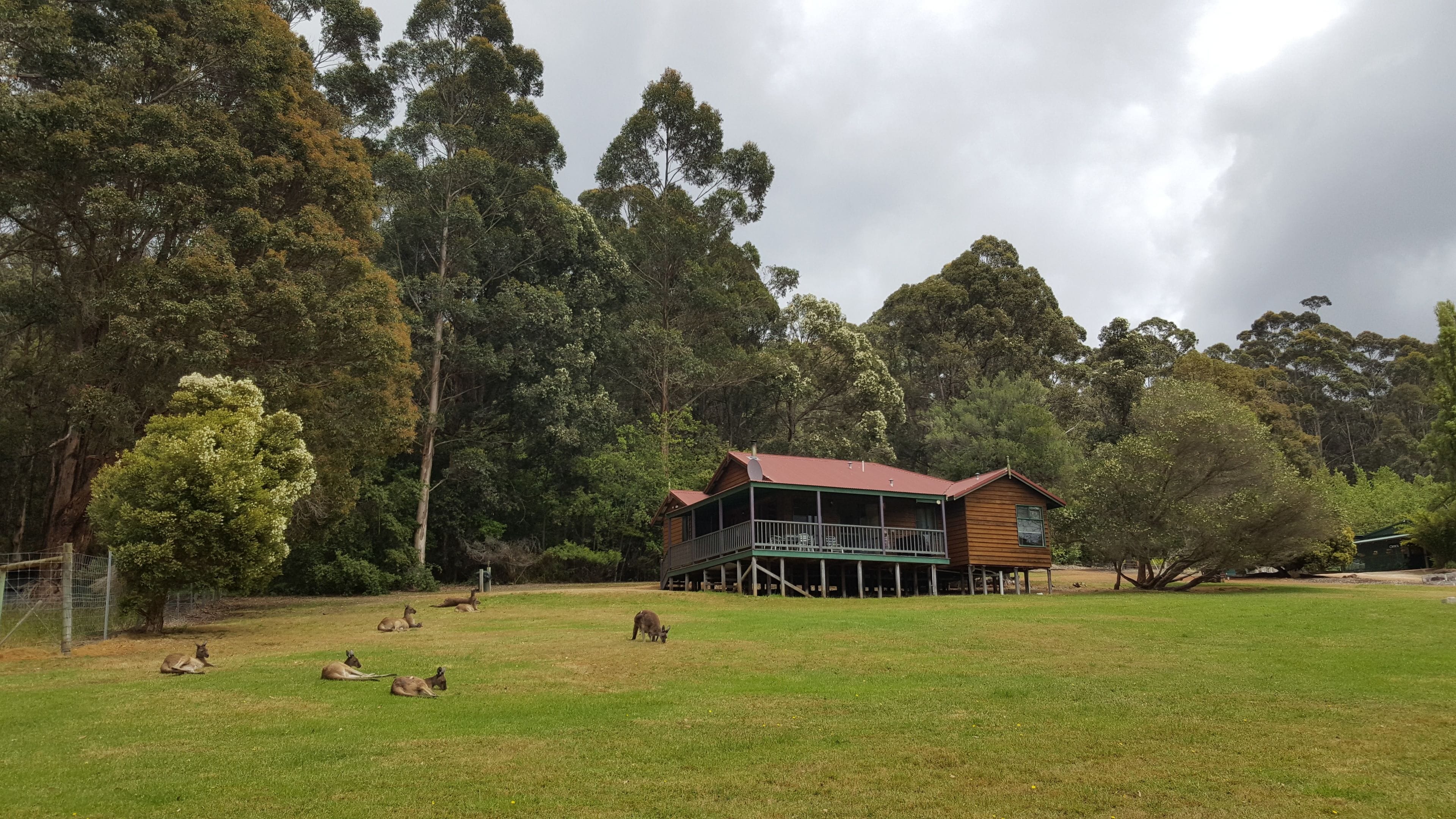 Walpole Wilderness Resort in Walpole, Australia