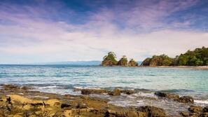 Vóley playa