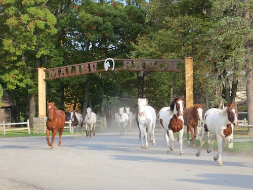 Great Place to stay Malibu Dude Ranch near Milford 