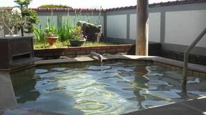 Natural pool