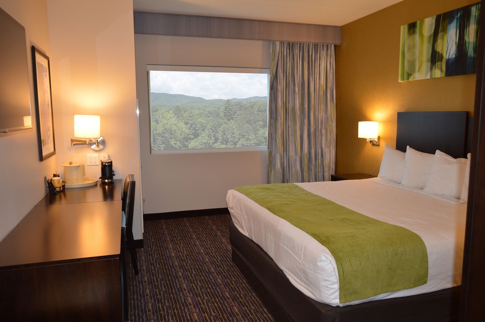 Room Deals for Harrah's Cherokee Valley River Casino & Hotel, Murphy