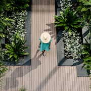 The 10 Best Hotels In Camperdown Sydney For 2019 Expedia Veriu Camperdown