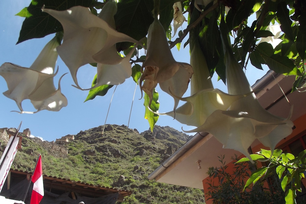 Photo - Las Portadas