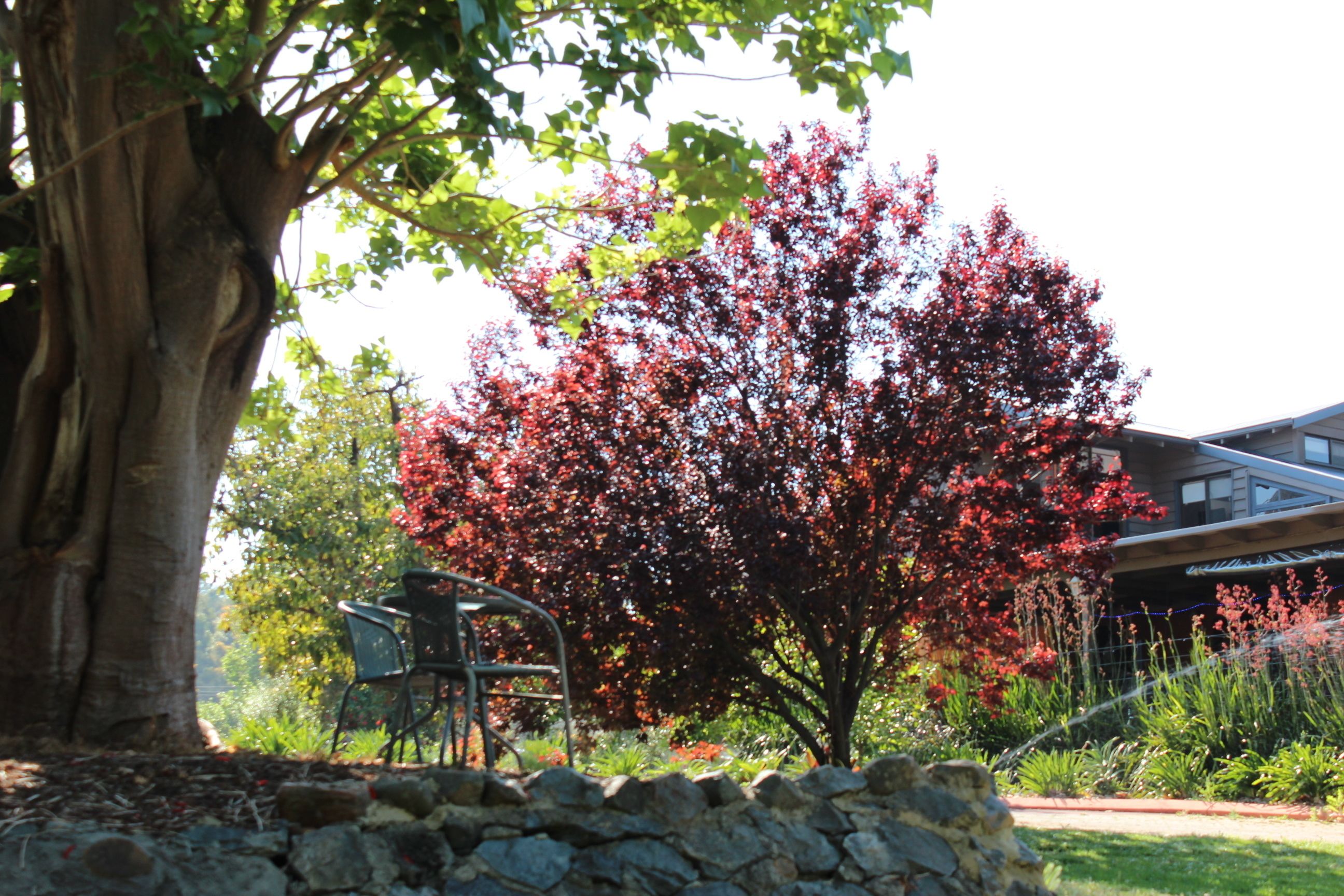 ファースト アコモデーション