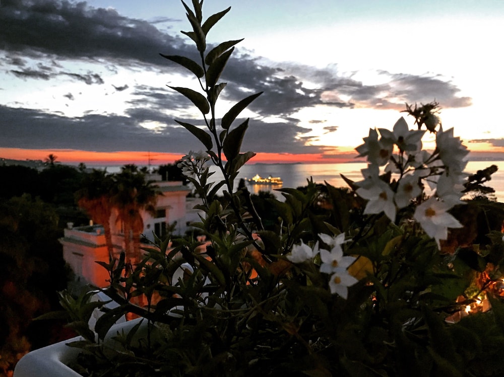 Foto - Hotel Crawford