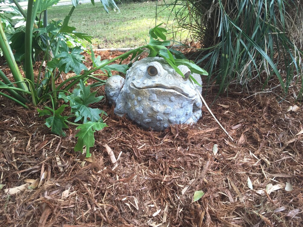 Louisiana Cajun Mansion in Youngsville Best Rates & Deals on Orbitz