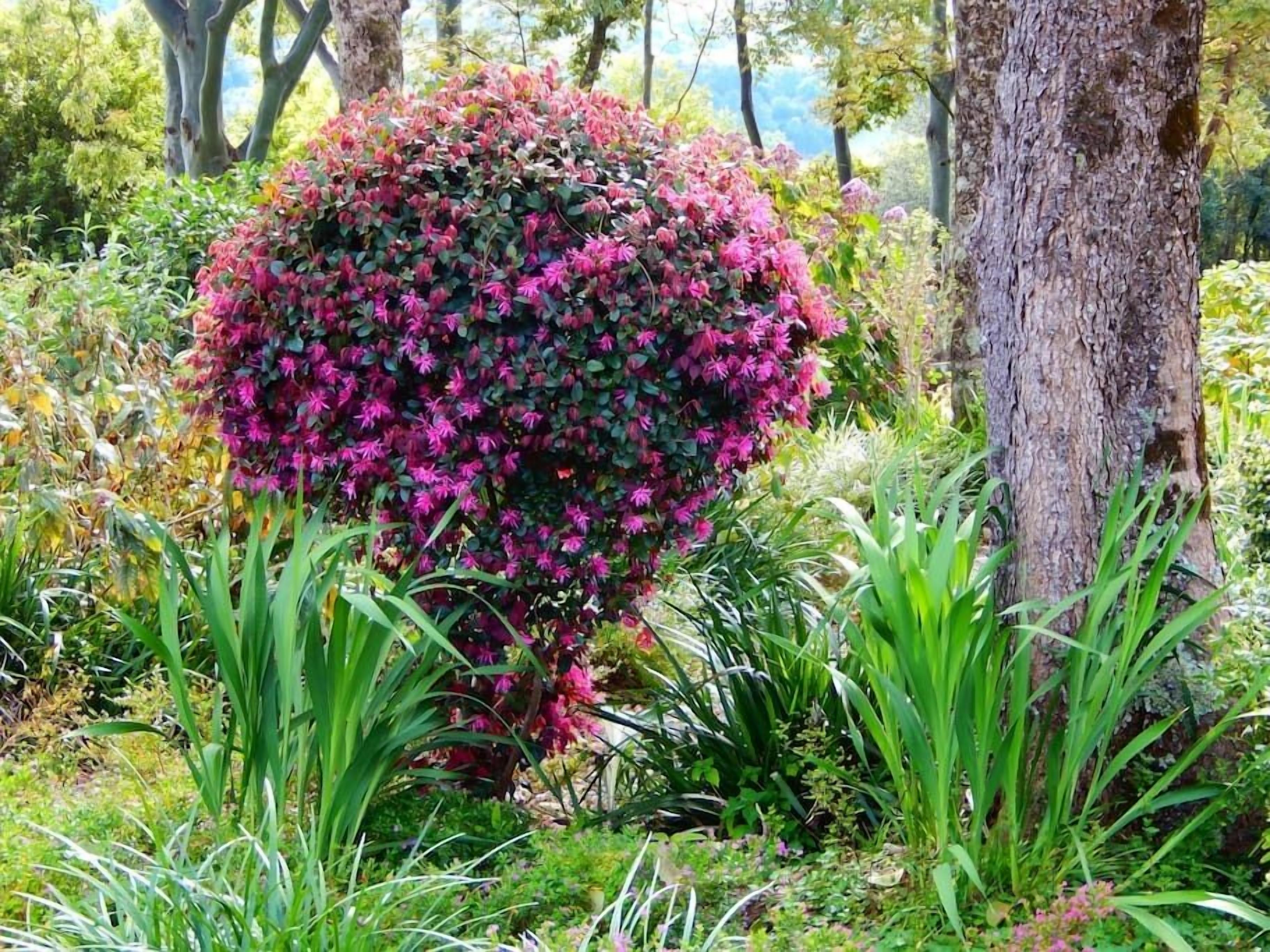 Riverbend Byron Hinterland Retreat