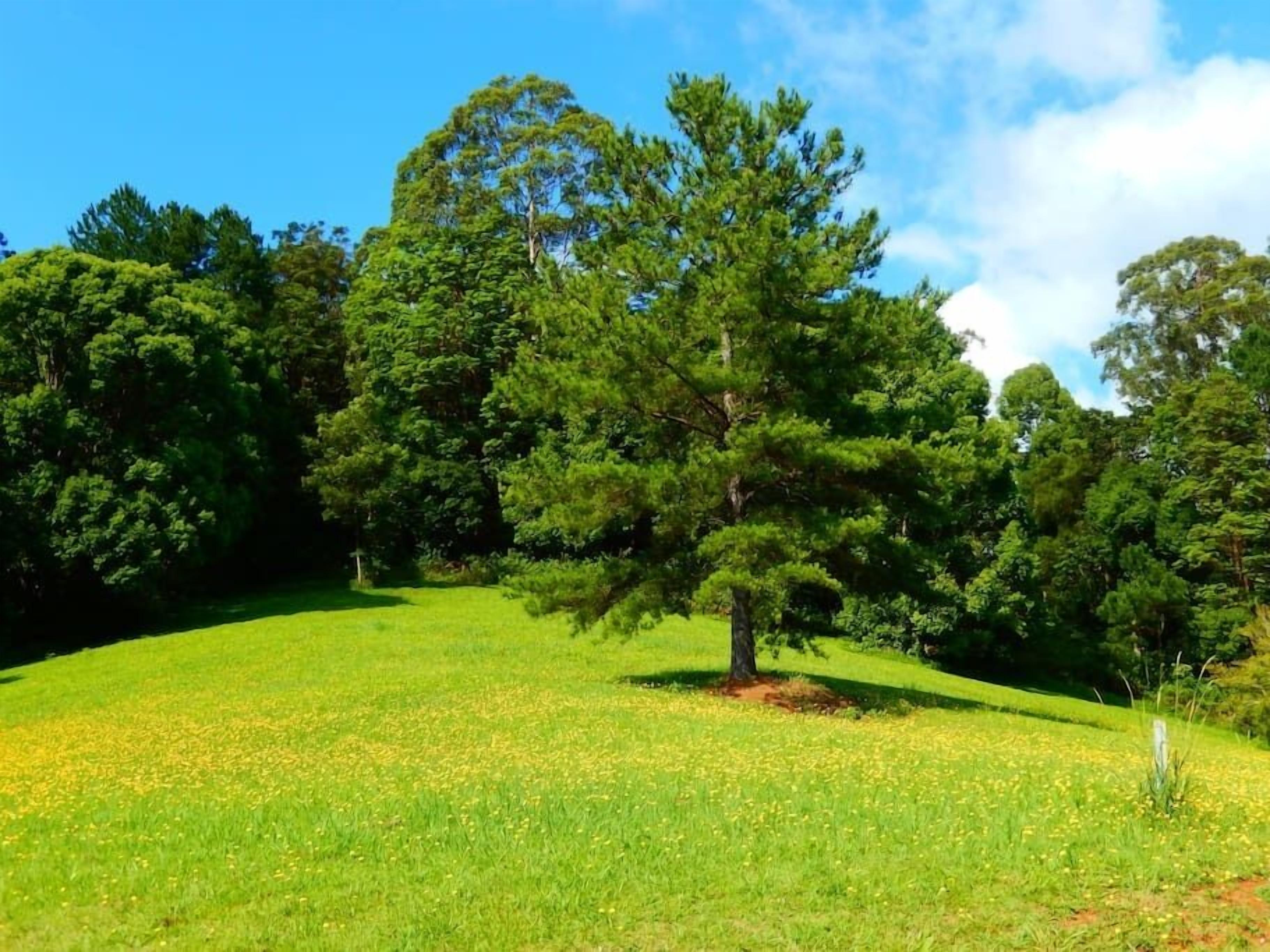 Riverbend Byron Hinterland Retreat