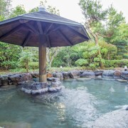 Cheap Hotels Near Shibamasa World Amusement Park Save More - 