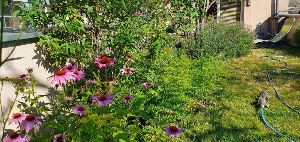 Foto - Vienna Hostel Ruthensteiner