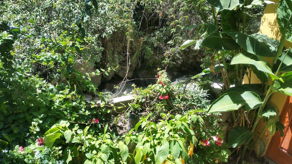 Photo - Wayras Hostal