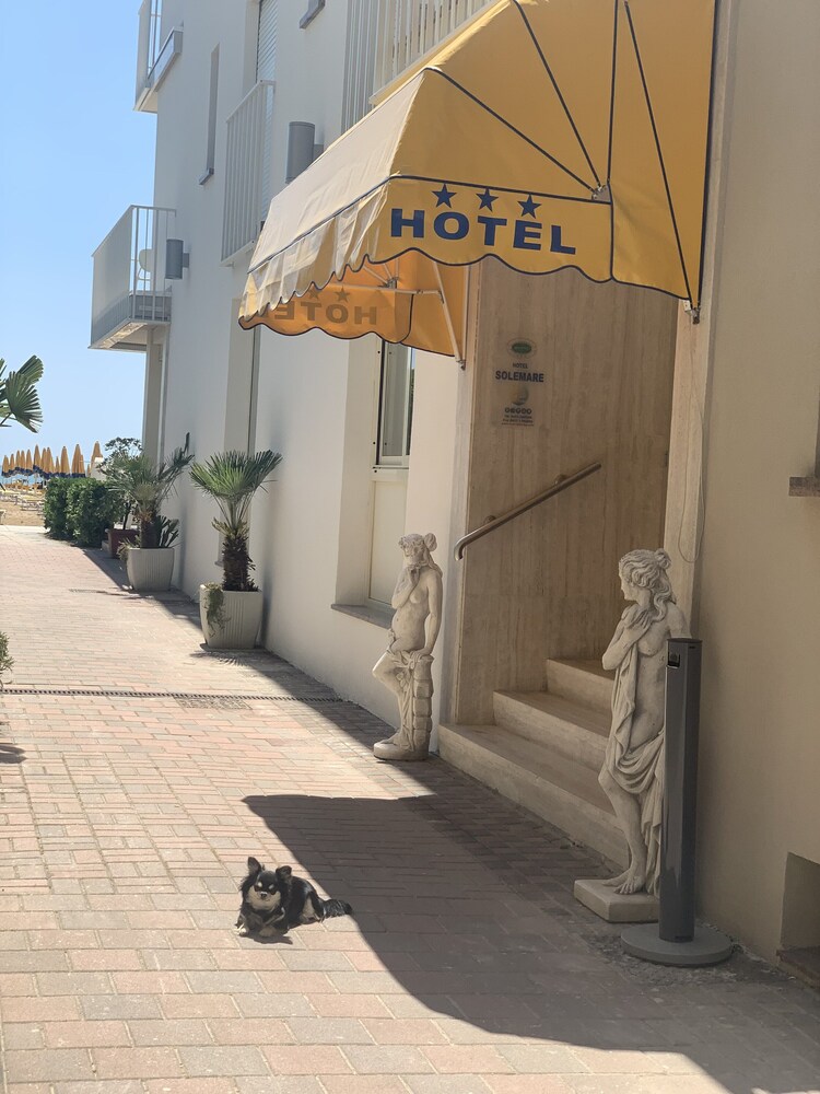 Photo - Hotel Solemare - Frontemare - 3 Stelle Superior