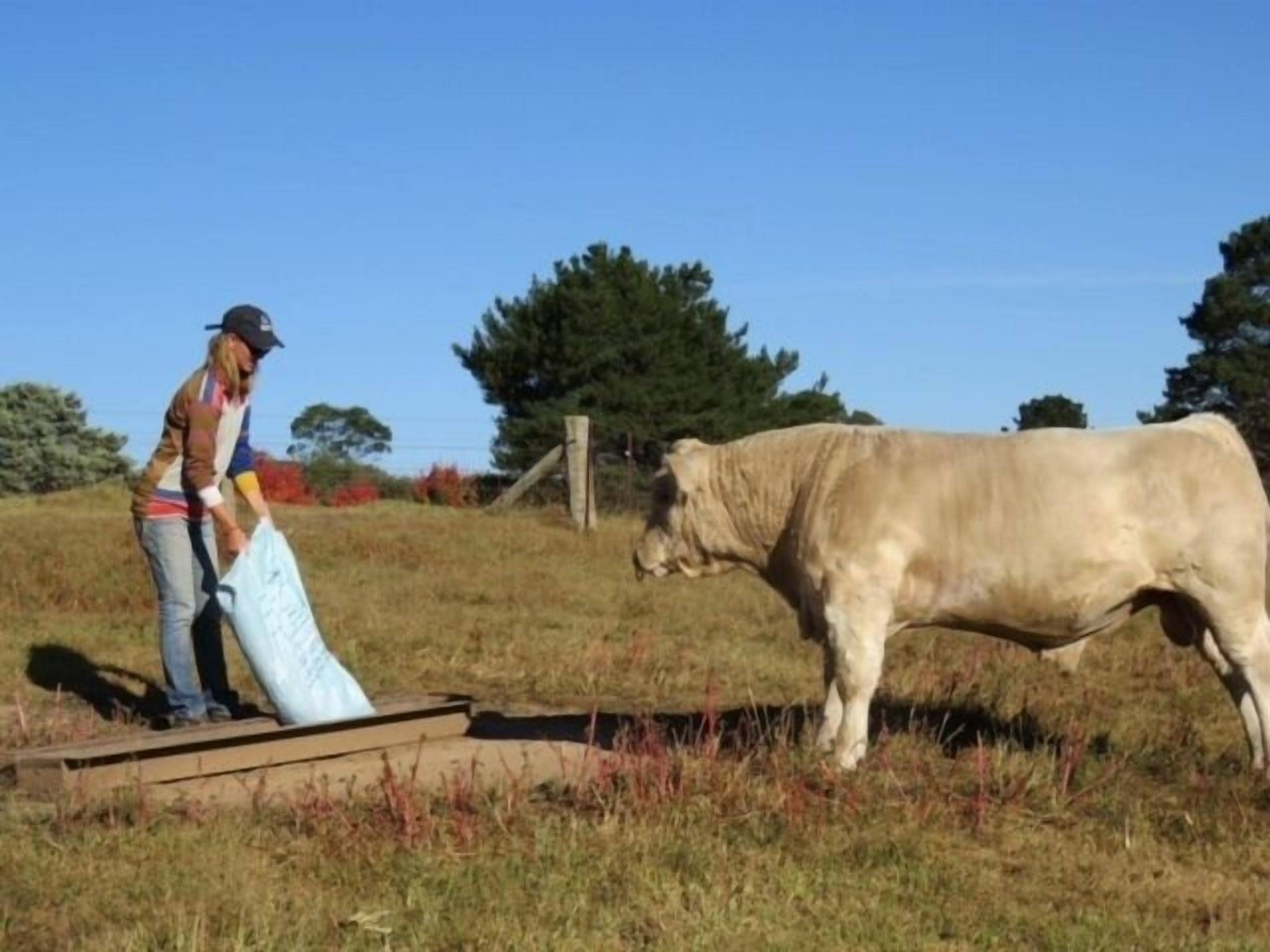Waterfall Way Farmstay