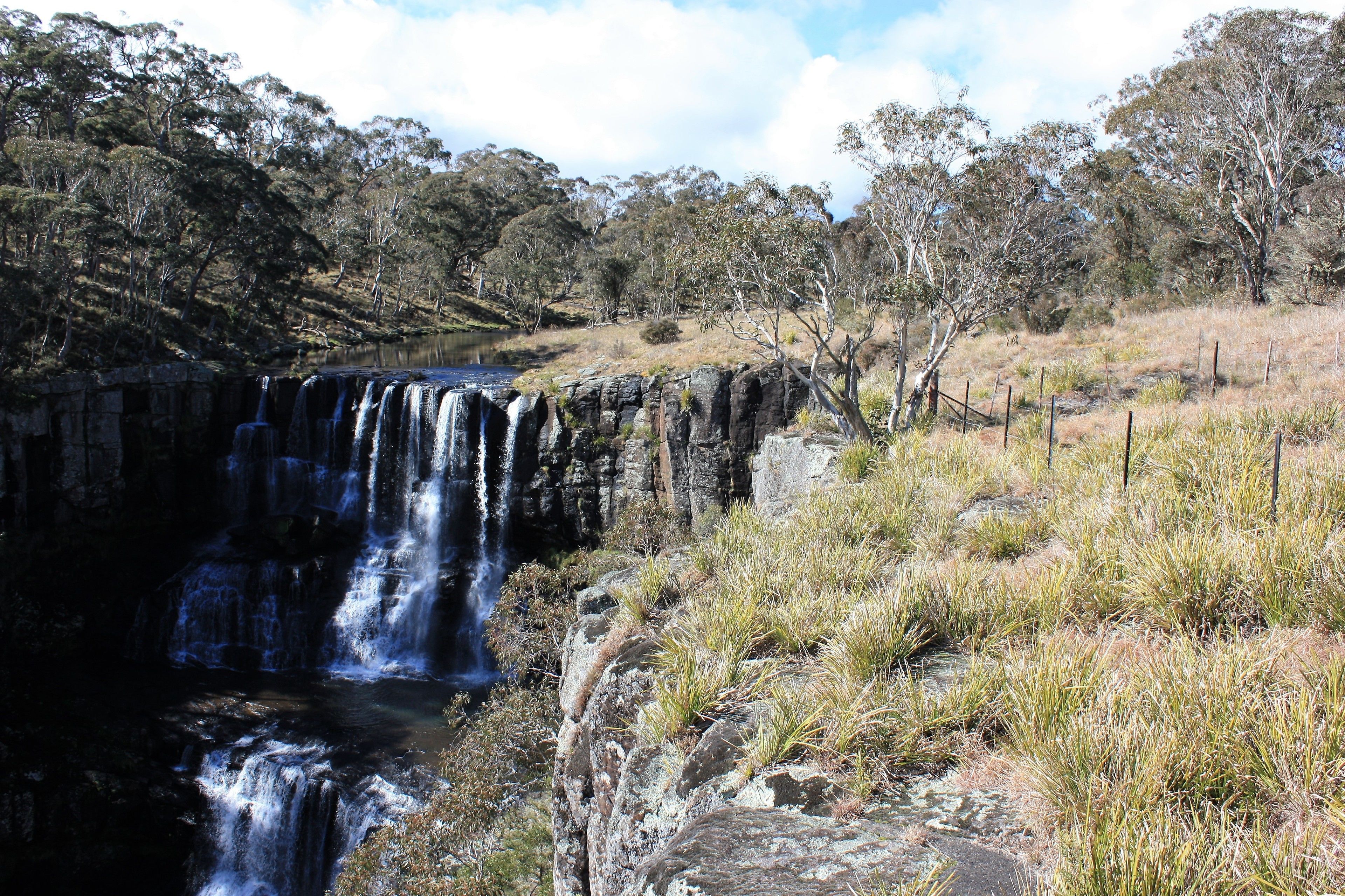 Waterfall Way Farmstay