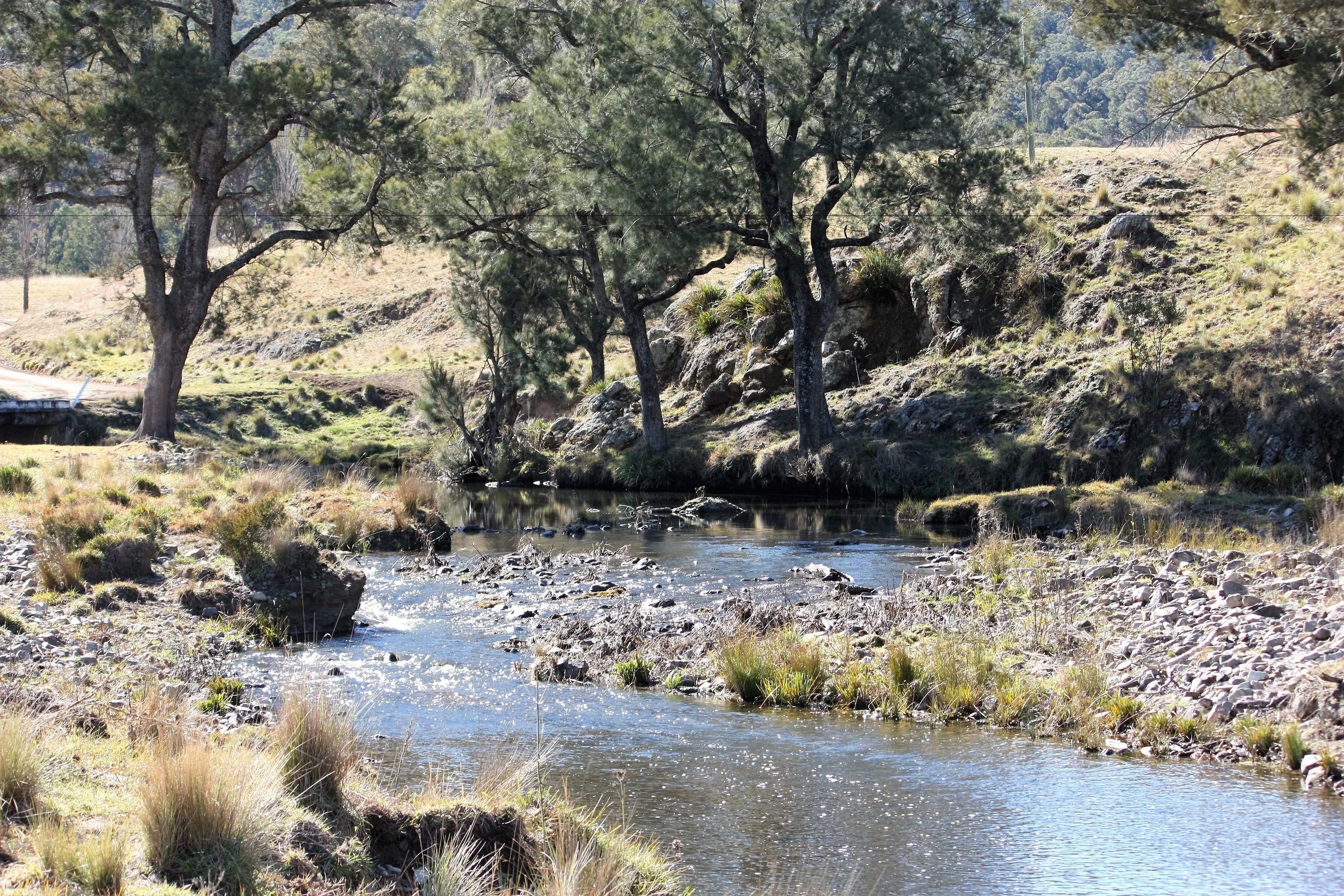 Waterfall Way Farmstay