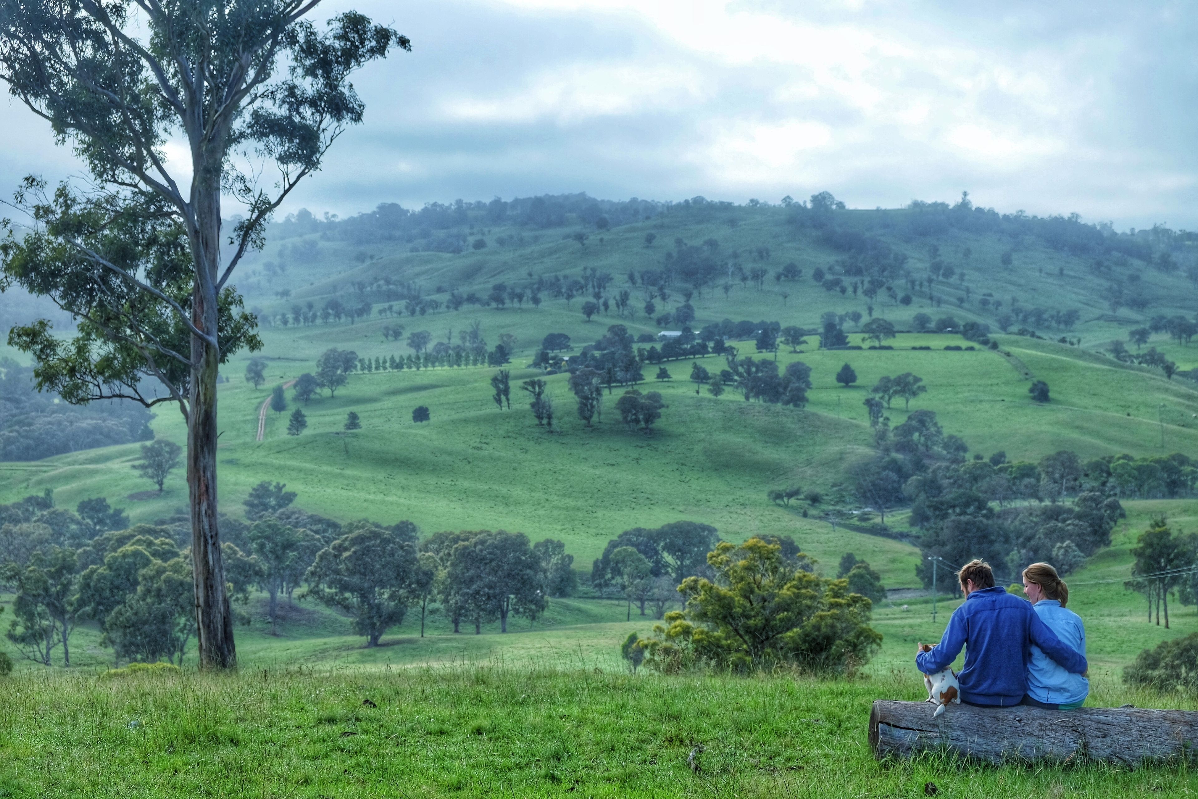 Waterfall Way Farmstay