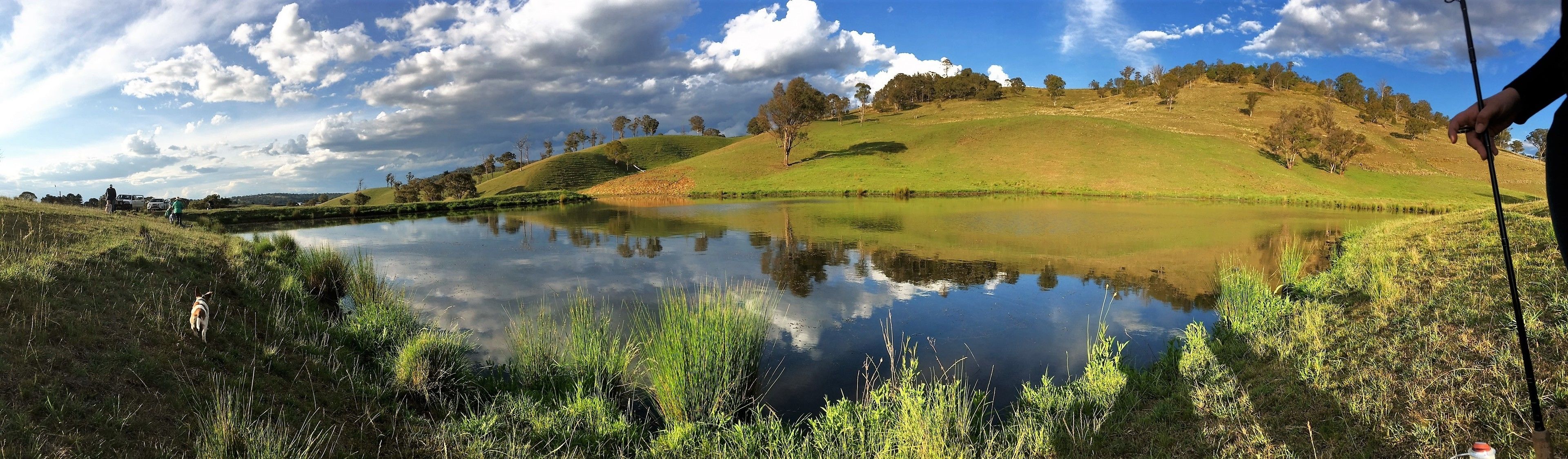 Waterfall Way Farmstay