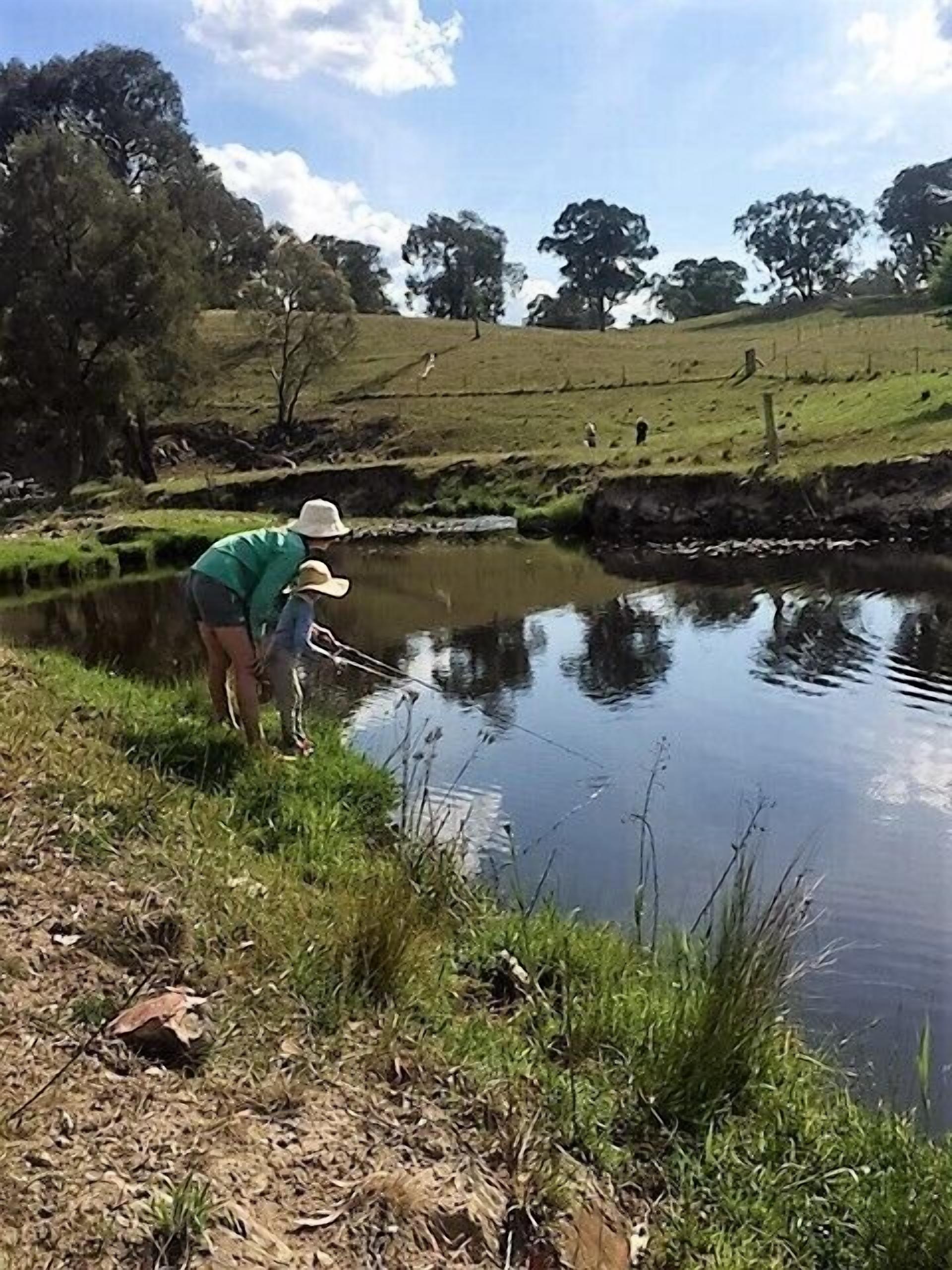 Waterfall Way Farmstay