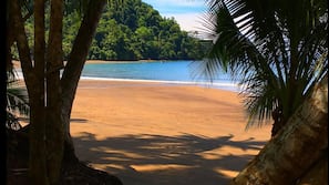 Ubicación a pie de playa, tumbonas y toallas de playa