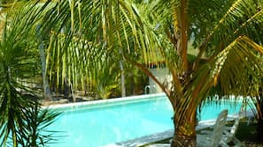 Outdoor pool, pool umbrellas, sun loungers