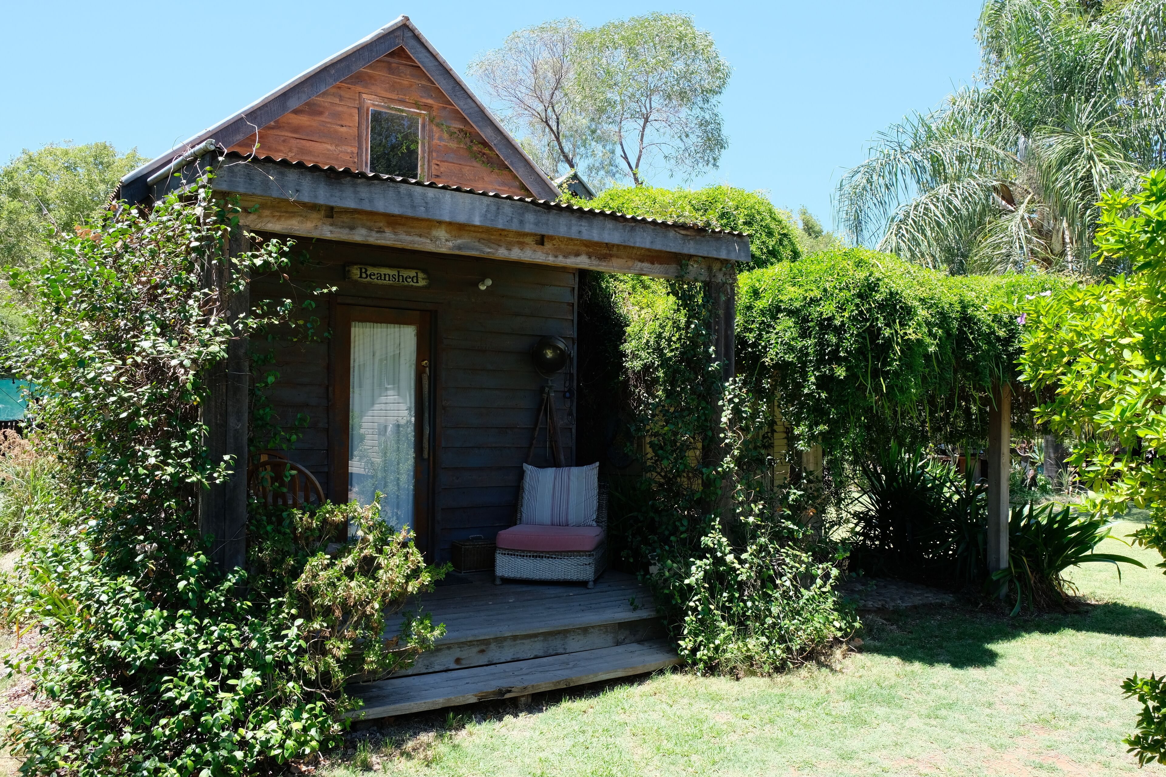 The Laurels of Chinchilla