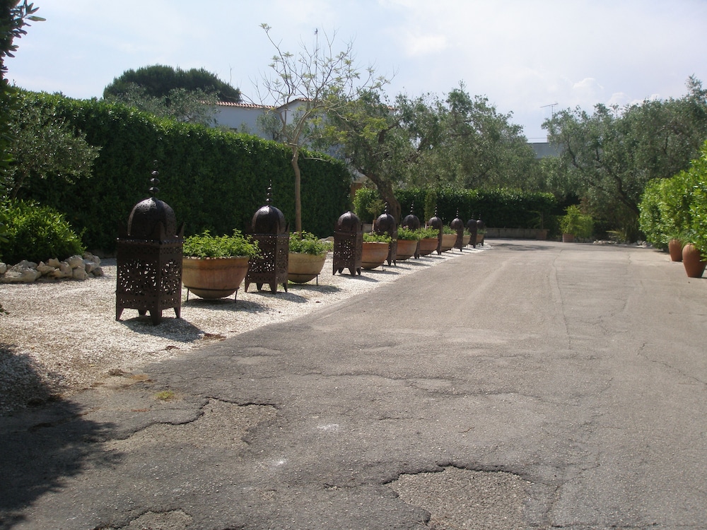 Foto - Tenuta Belvedere