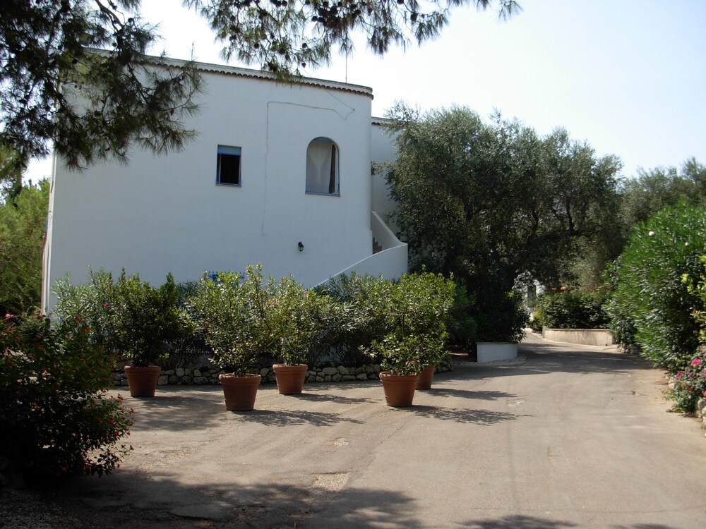 Foto - Tenuta Belvedere