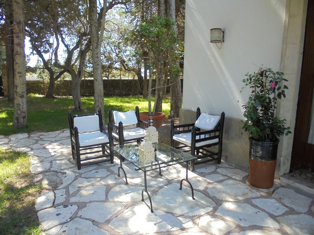 Foto - Tenuta Belvedere