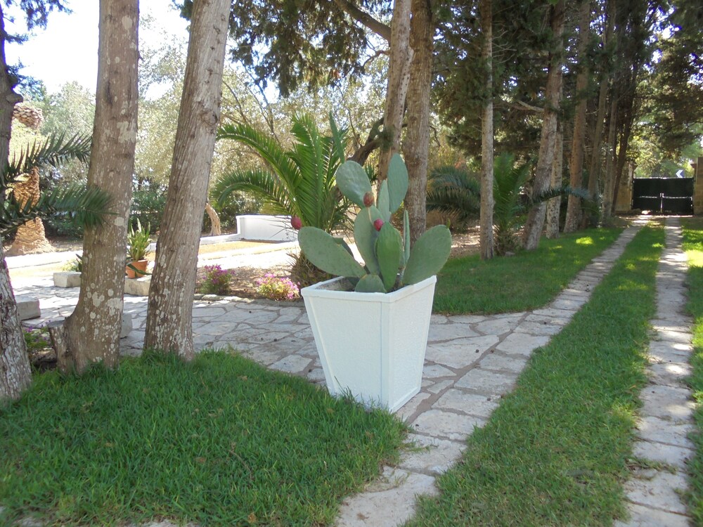 Foto - Tenuta Belvedere