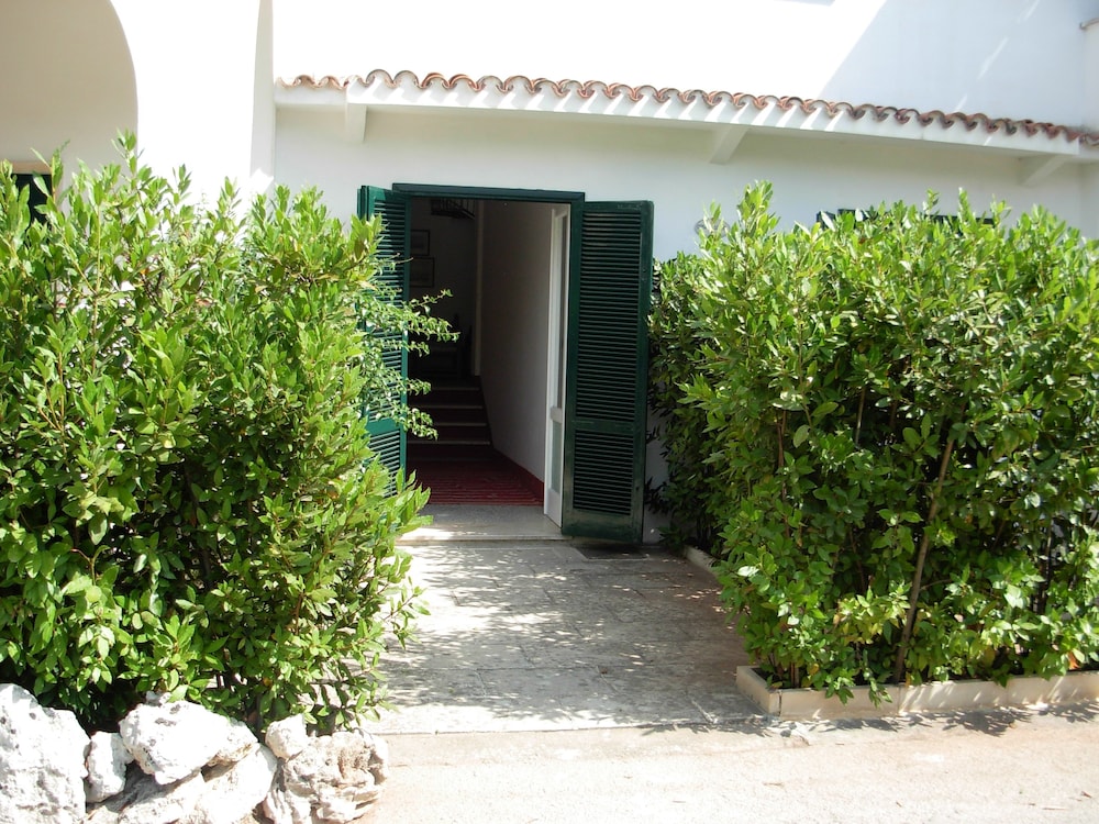 Foto - Tenuta Belvedere