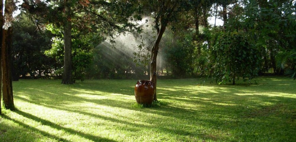 Foto - Tenuta Belvedere