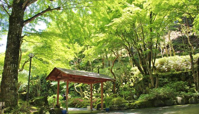 宙 Sora 渡月荘金龍 口コミ 部屋写真 料金 お得情報 エクスペディア 宙 Sora 渡月荘金龍 口コミ 部屋写真 料金 お得情報 エクスペディア