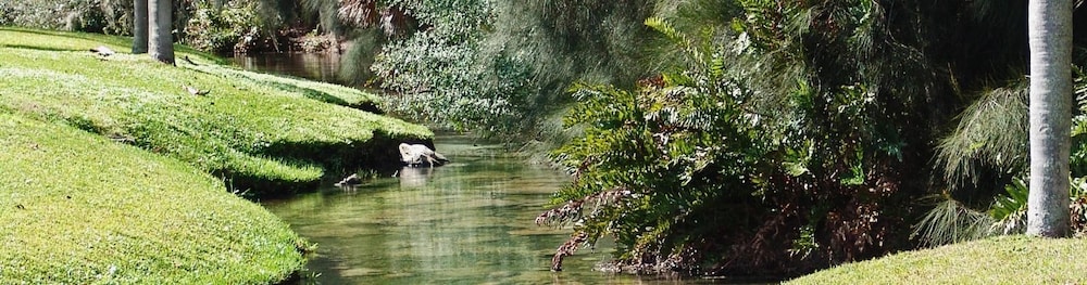 Warm mineral springs coupons