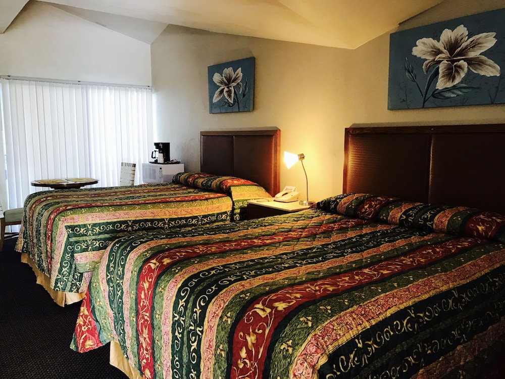 Warm mineral springs coupons