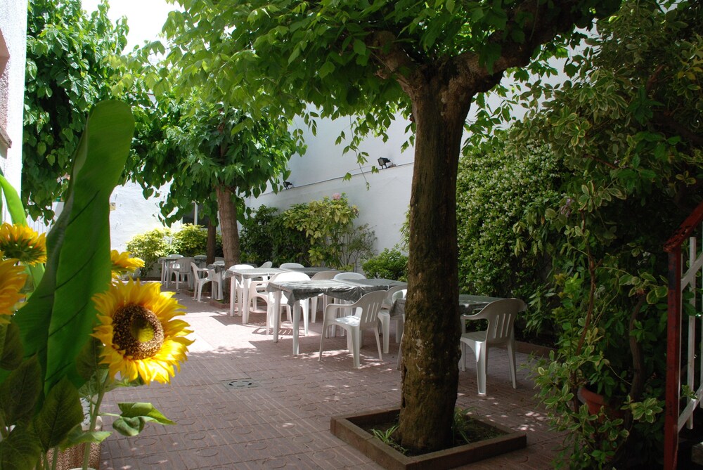 Foto - Hotel Armonía