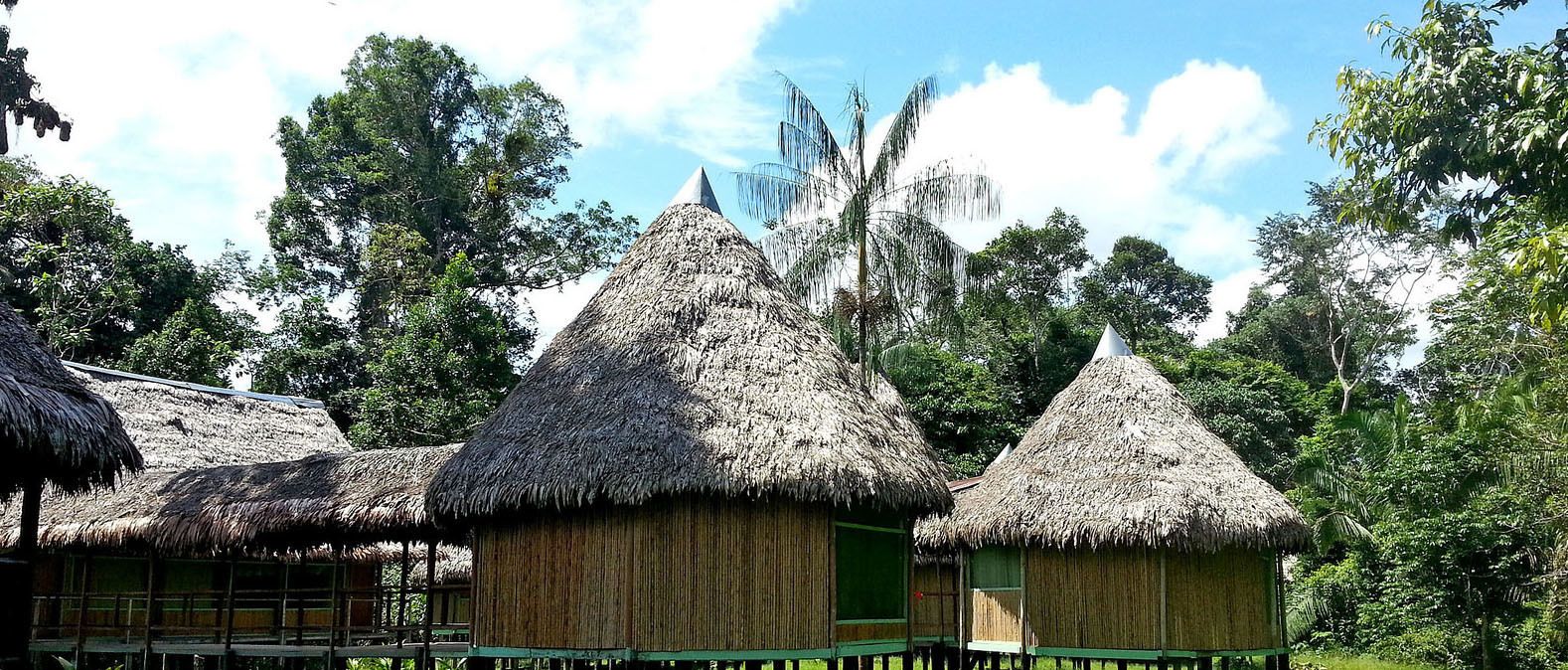 エクスペディア