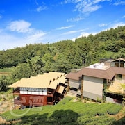 2022 阿里山热门酒店预订 酒店可免费取消吗 Expedia