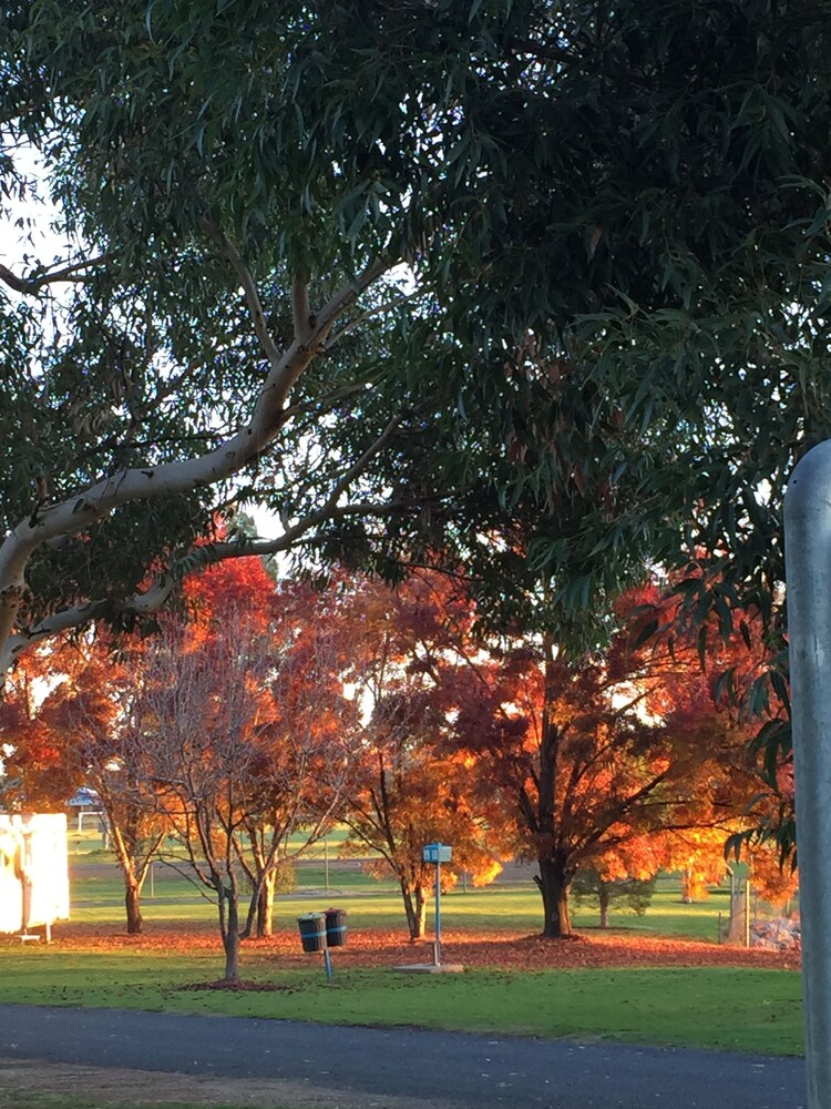 Junee Tourist Park