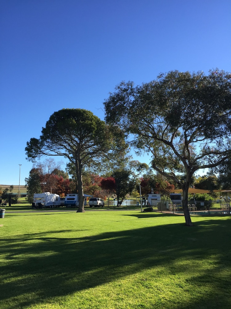 Junee Tourist Park