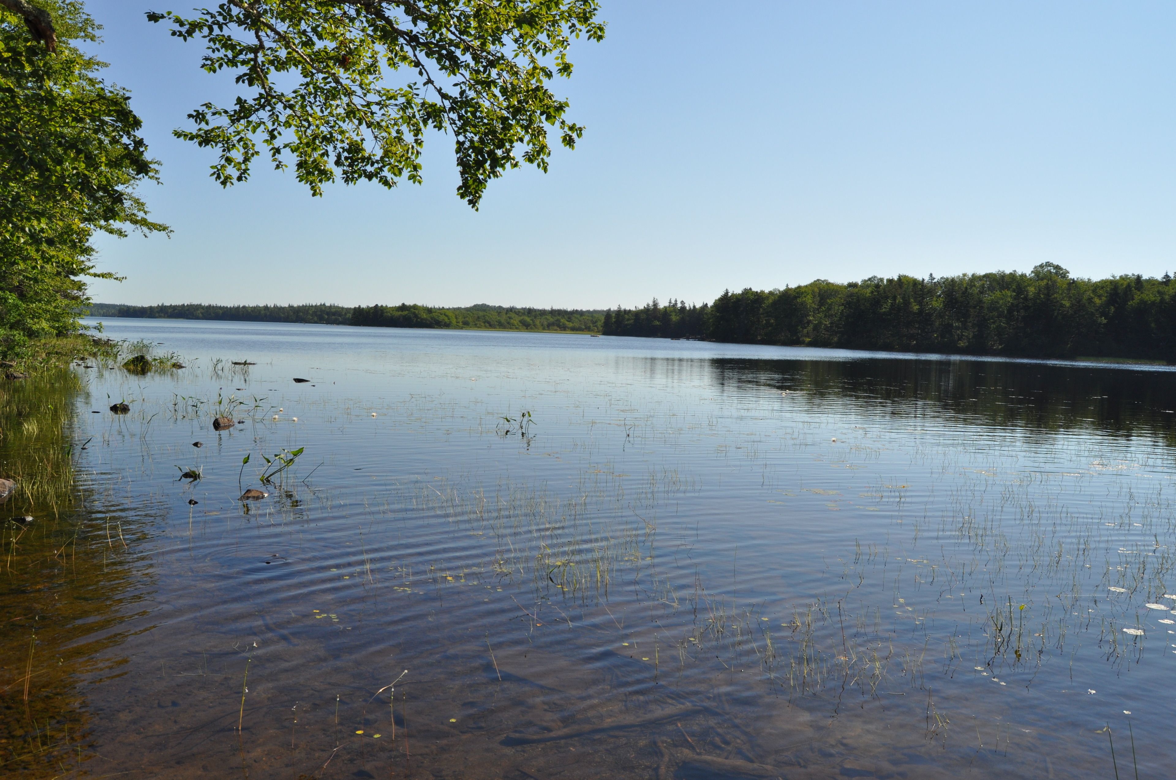 Richmond Highland Farm in Port Maitland, Canada