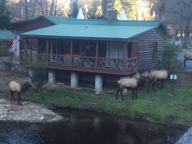 Qualla Cabins And Motel Book Qualla Motel Cabins Whittier Nc Cherokee Expedia