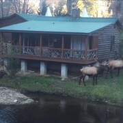 hotels near smoky mountain center for performing arts