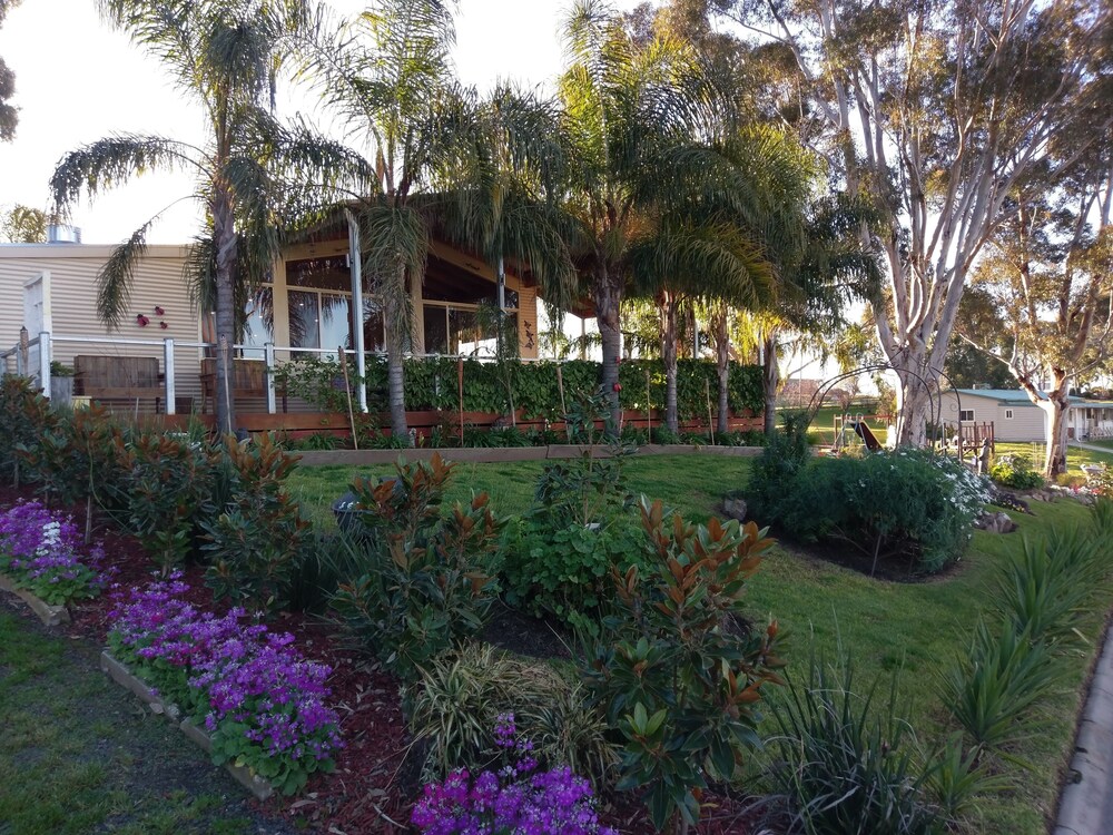 Cafe, Discovery Parks - Lake Hume, New South Wales