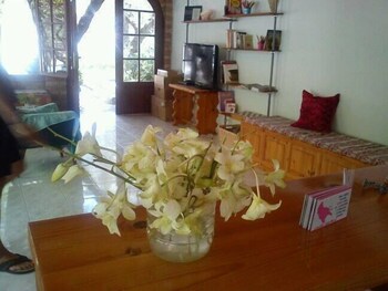 sofos apartments tsilivi