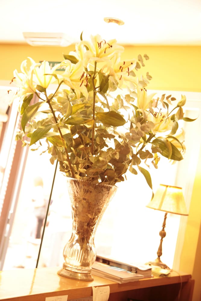 Foto - Hostal Antigua Morellana