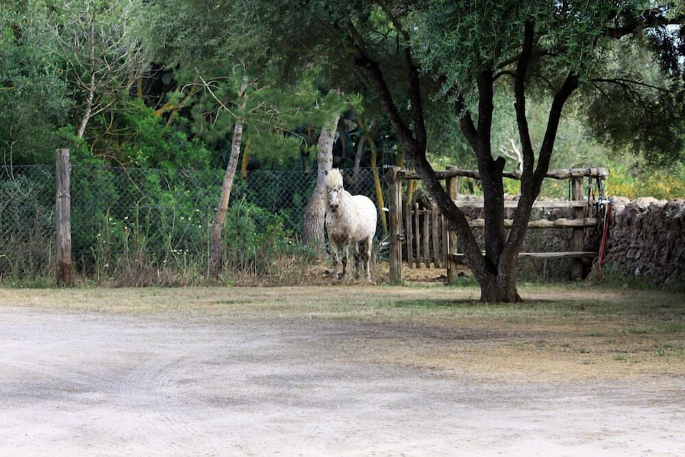 Foto - Petit Hotel Es Figueral
