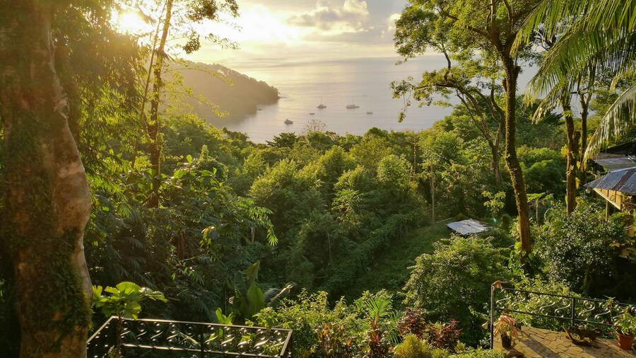 Mango Moon Villa
