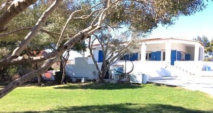 B&B Domus de Diana